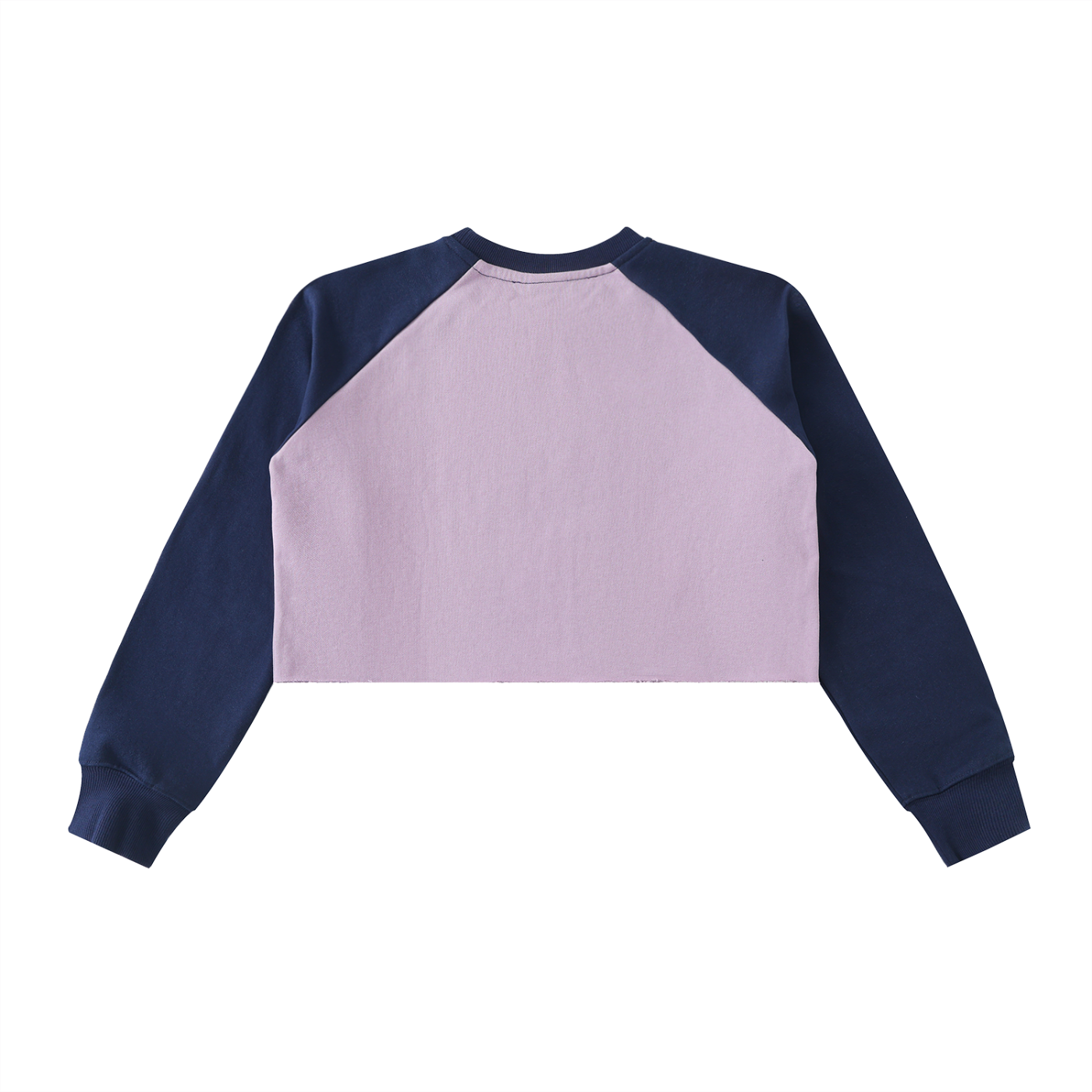 Rad Ghost Raw-Hem Color-Block Raglan Crop Sweatshirt