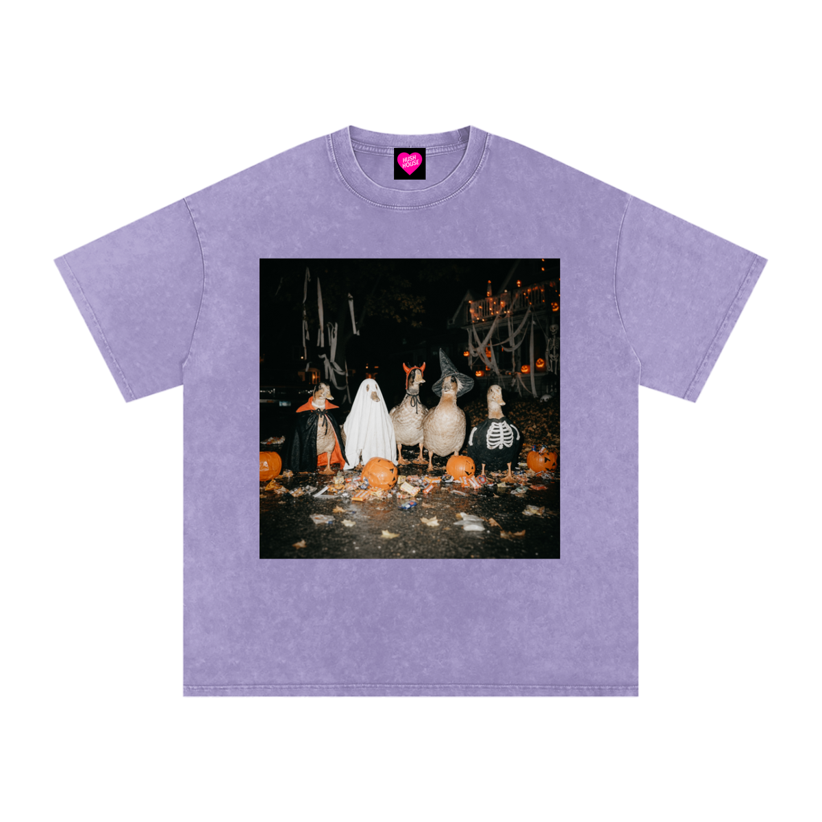 Goosin Around Oversized Tee